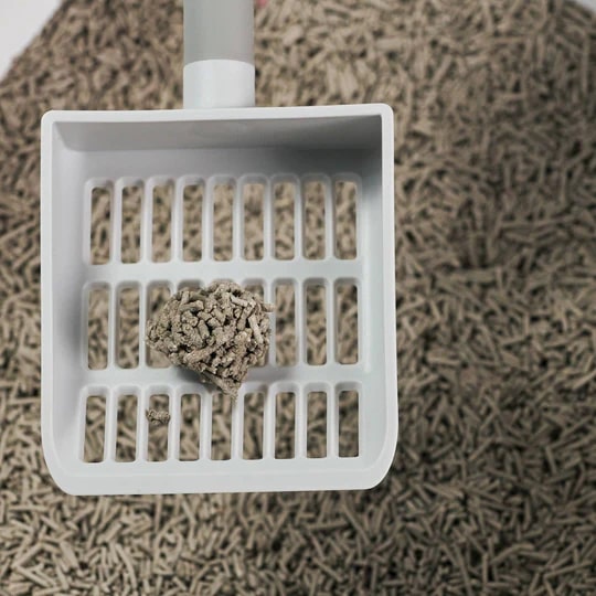 10 Best Flushable Cat Litter for Clean and Easy Disposal