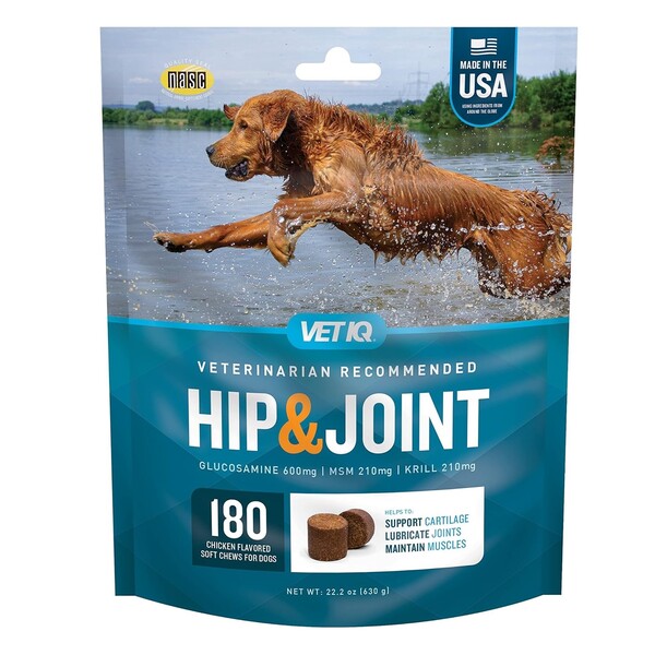 Best Hip and Joint Supplement for Dogs