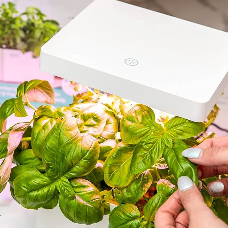 Best Indoor Growing Systems