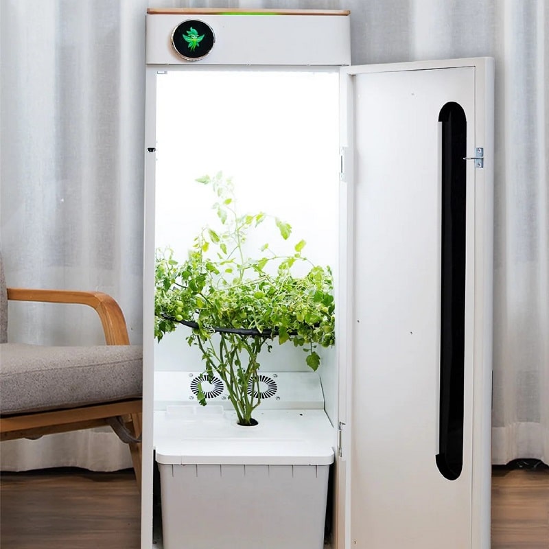 Best Indoor Growing Systems