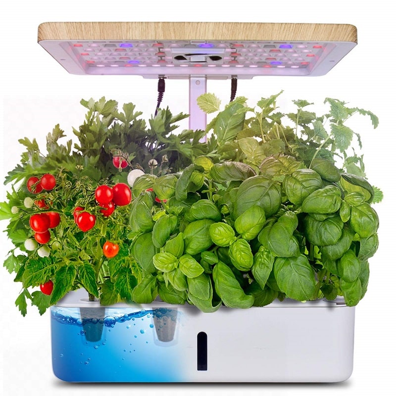 Best Indoor Growing Systems