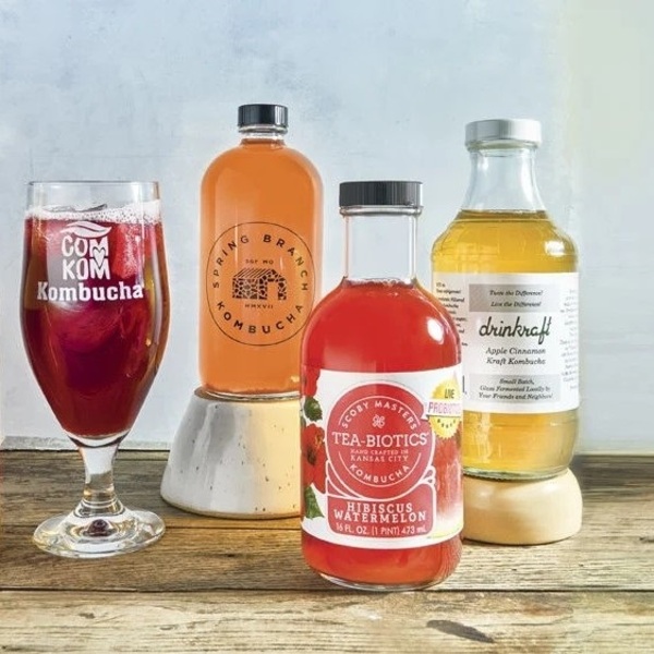 Best Kombucha Brands