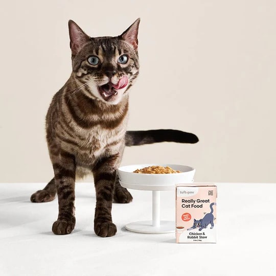 10 Best Wet Cat Food: Top Picks for Your Feline Friend