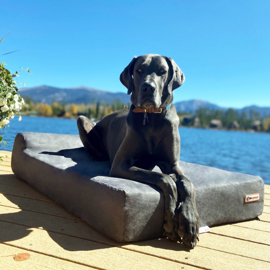 Big Barker Dog Bed Review