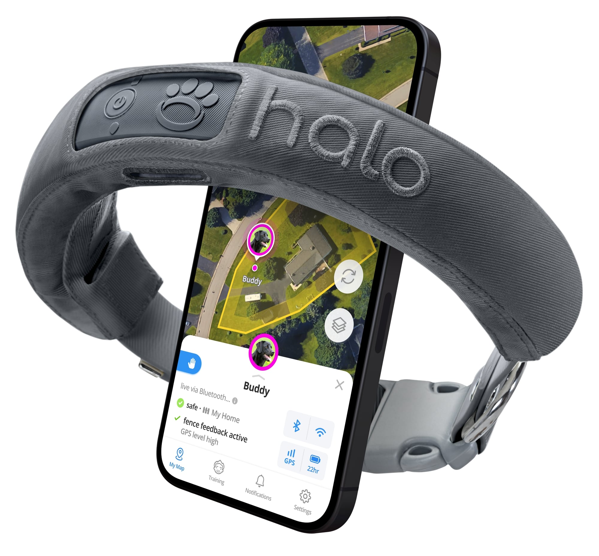 Halo Collar vs. SpotOn Review 