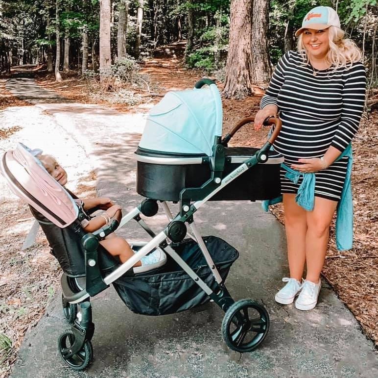 Mockingbird Stroller Review