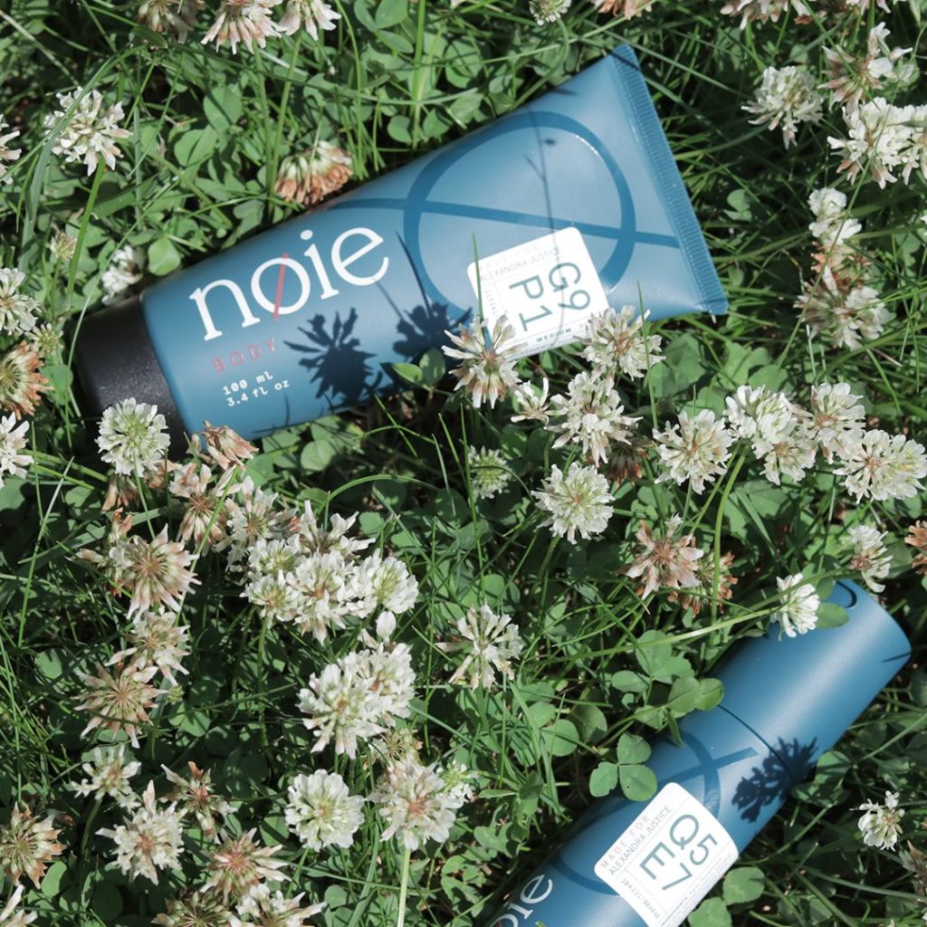 Noie Skincare Review