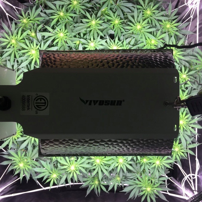 Vivosun Grow Tent Review