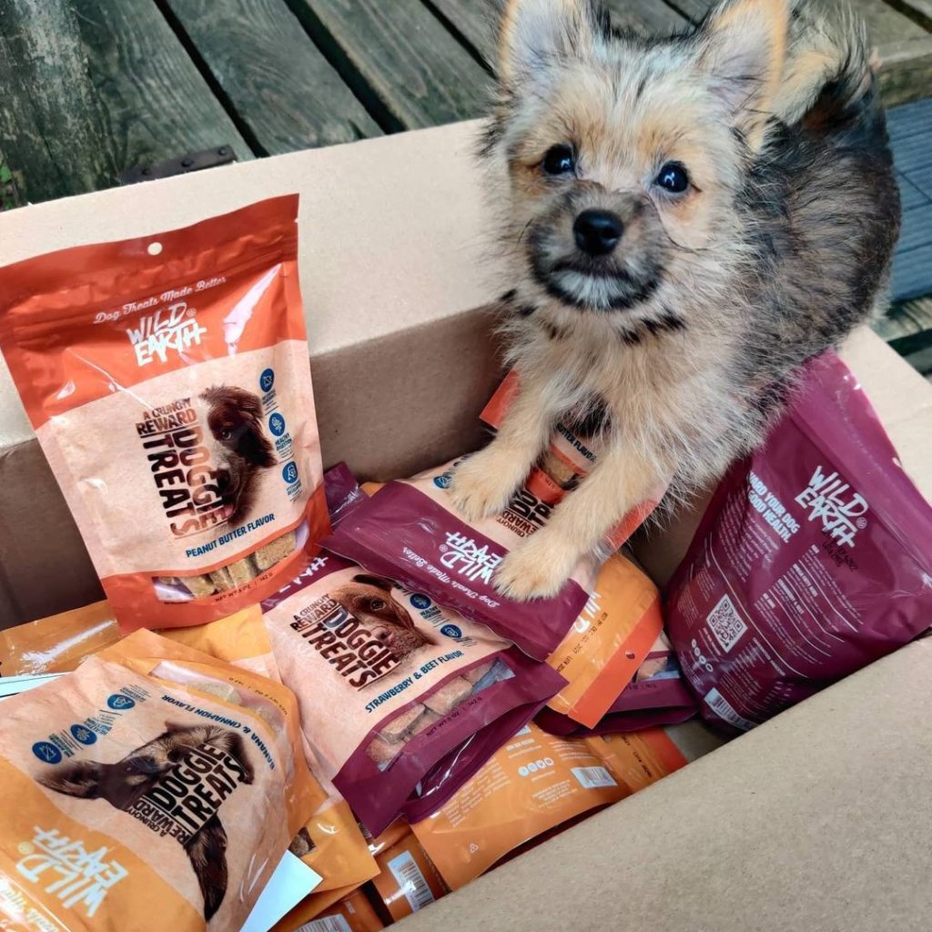 Wild Earth Dog Food Review